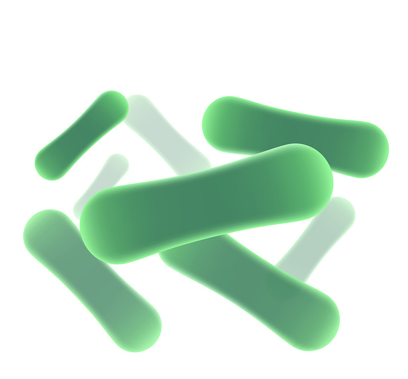 念珠菌中药调理方法,念珠菌用药几天止痒