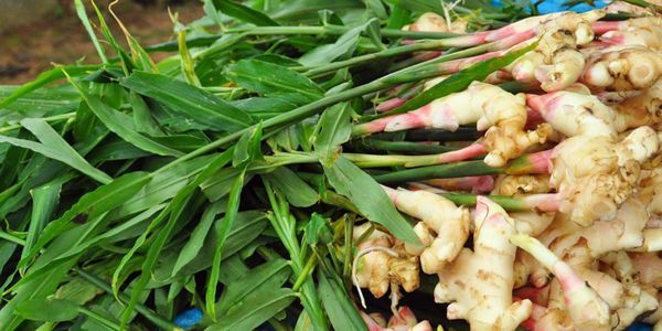 精油一般保质期多长时间,精油的有效期限是多久