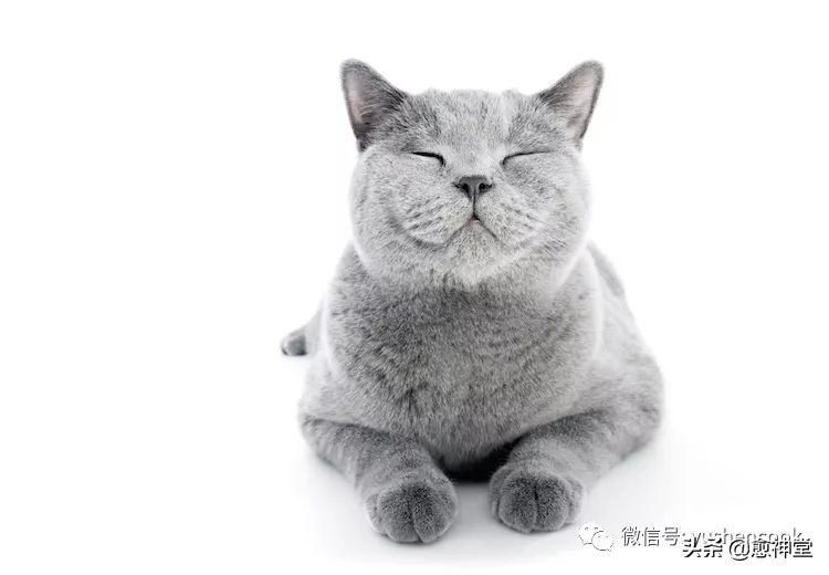 方*论法**是把双刃剑