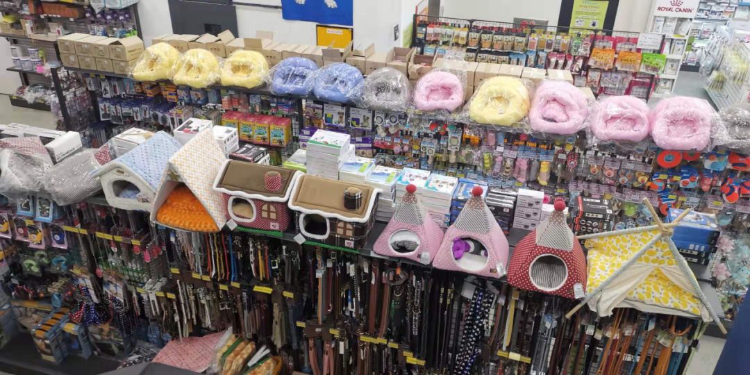 韩国宠物店推荐,韩国宠物店体验