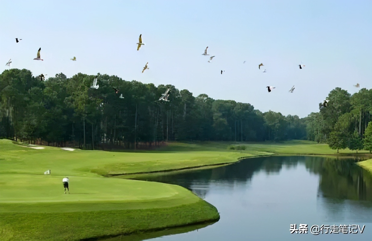 就连白鹭都中意的顶级度假村，不输巴厘岛的惠州候鸟，全家轻奢游