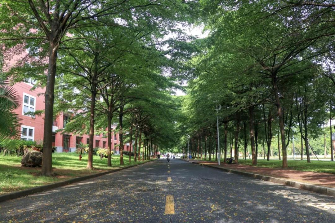 澧炲煄浜屾湰鐙珛瀛﹂櫌,鍗庡崡甯堣寖澶у澧炲煄瀛﹂櫌鐙珛瀛﹂櫌