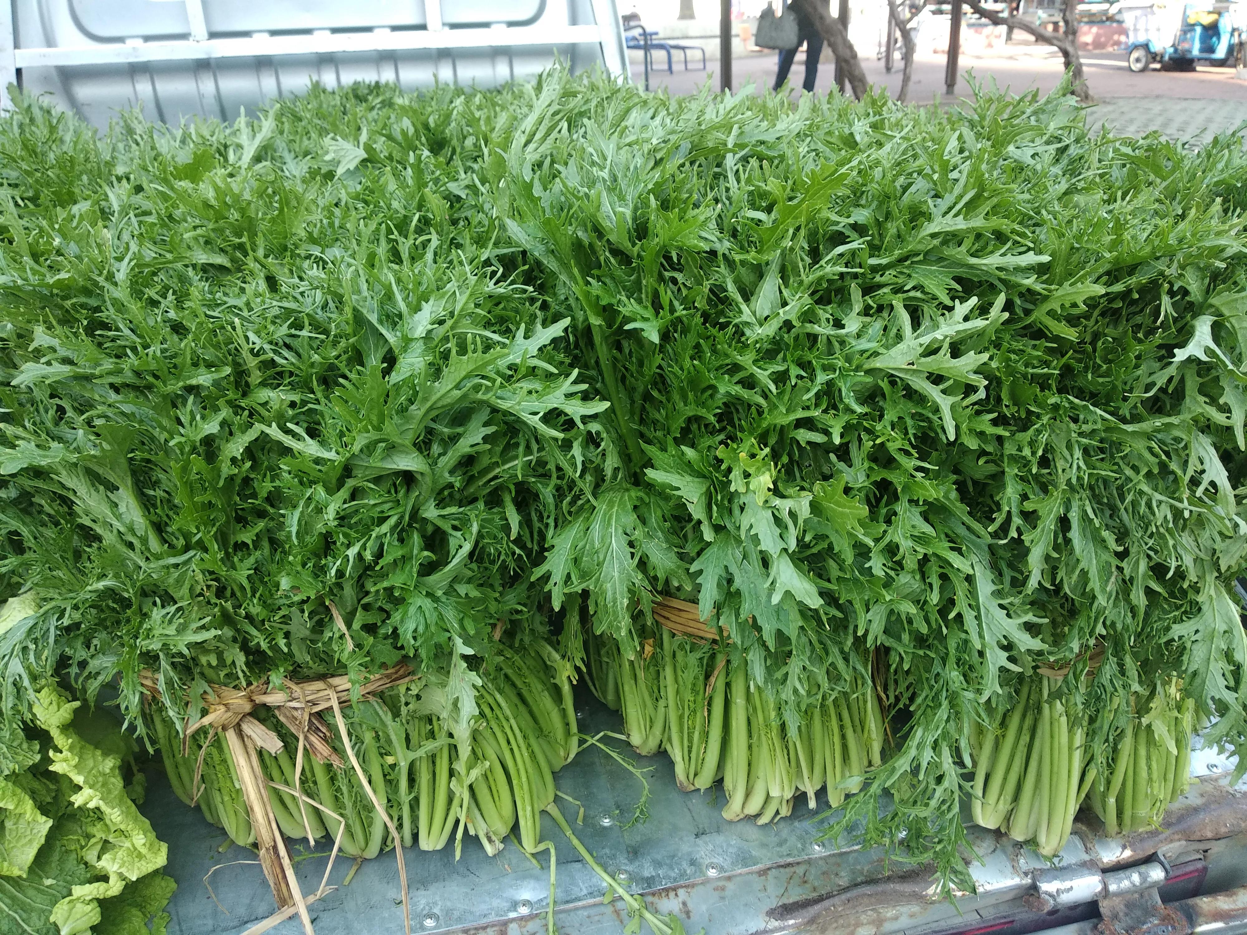 腌雪里蕻用不用倒缸,腌雪里蕻到底用不用洗