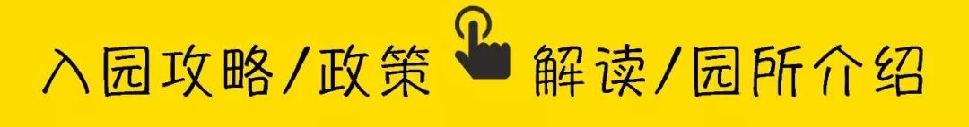 深圳幼儿园民办转公办,深圳幼儿园普惠和非普惠的区别