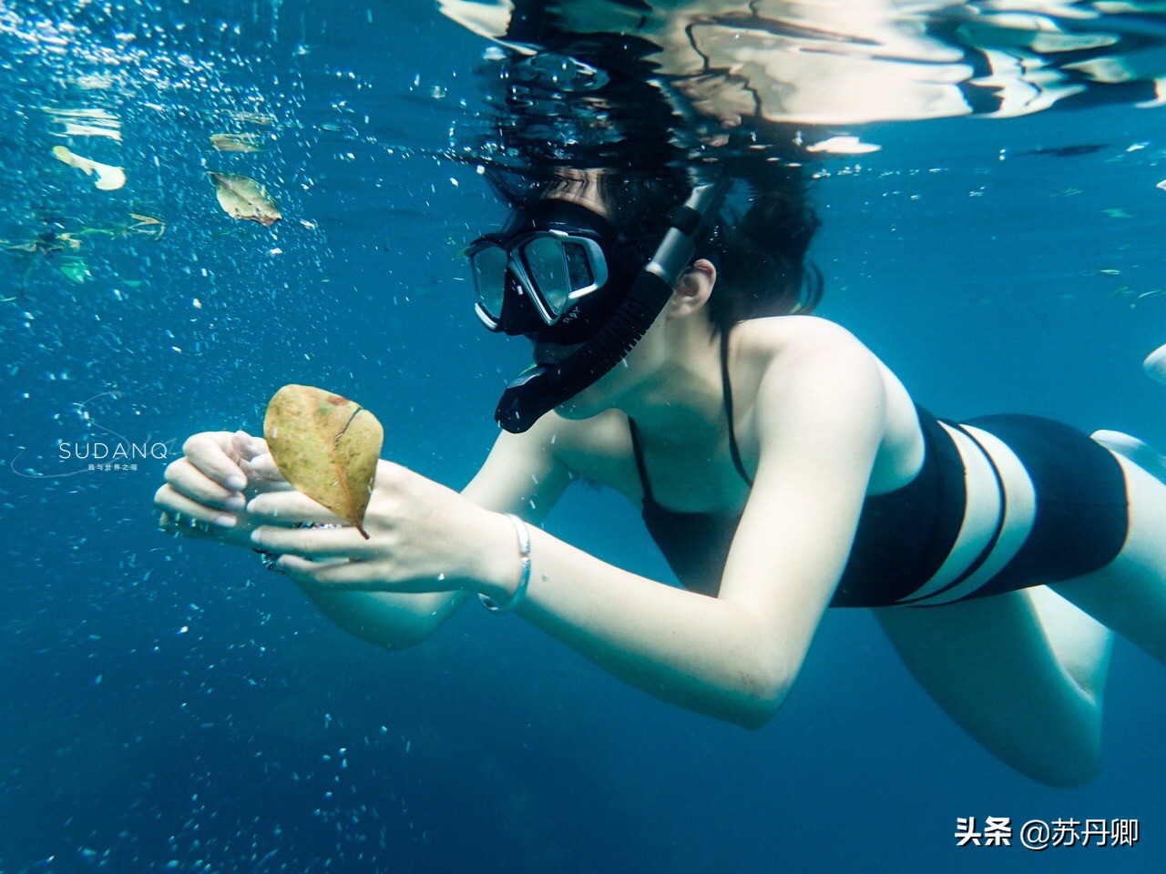 极限潜水死亡名单,潜水的死亡率高