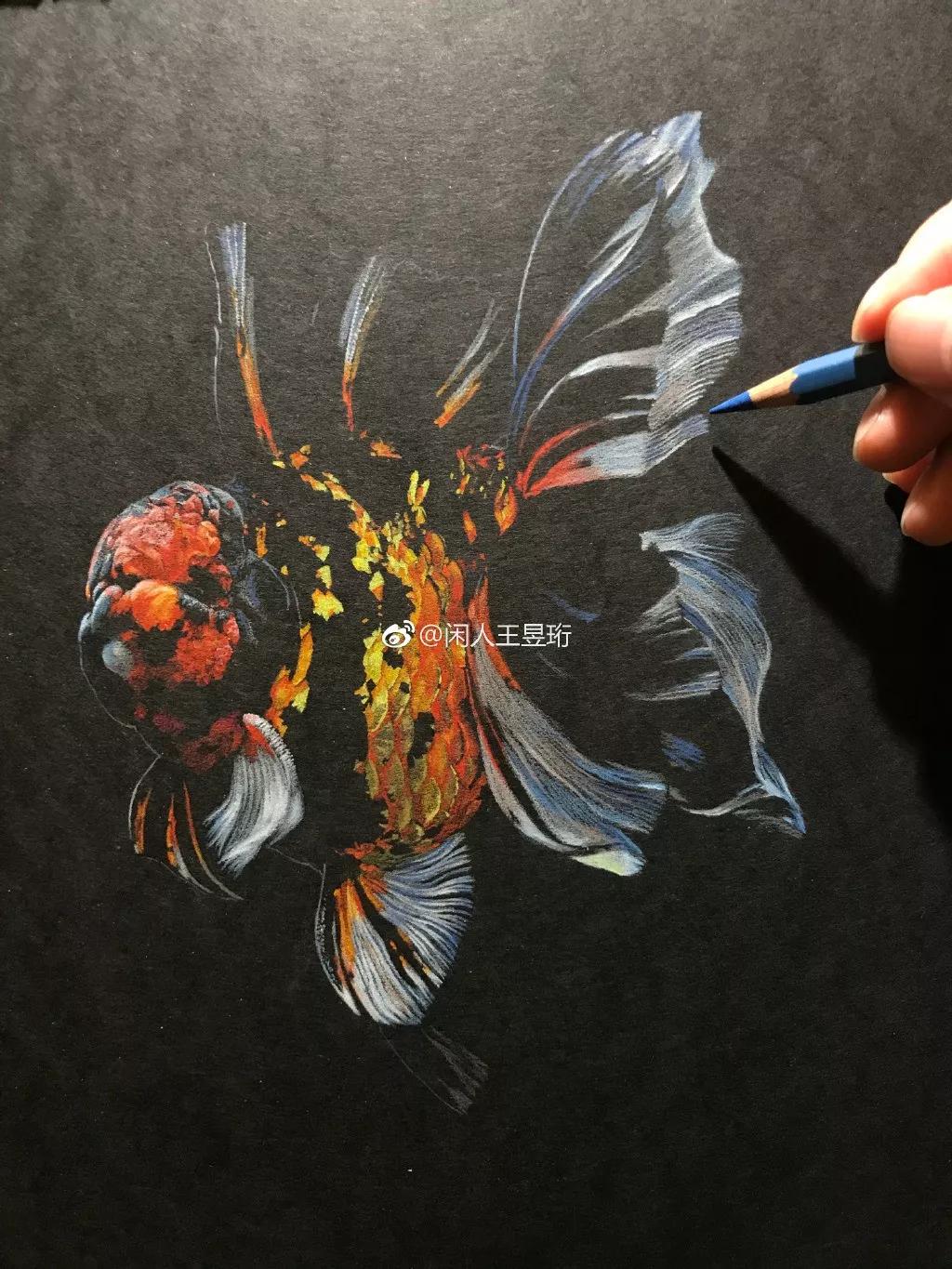 王昱珩不上班做到财富自由,最强大脑王昱珩清华毕业后不上班