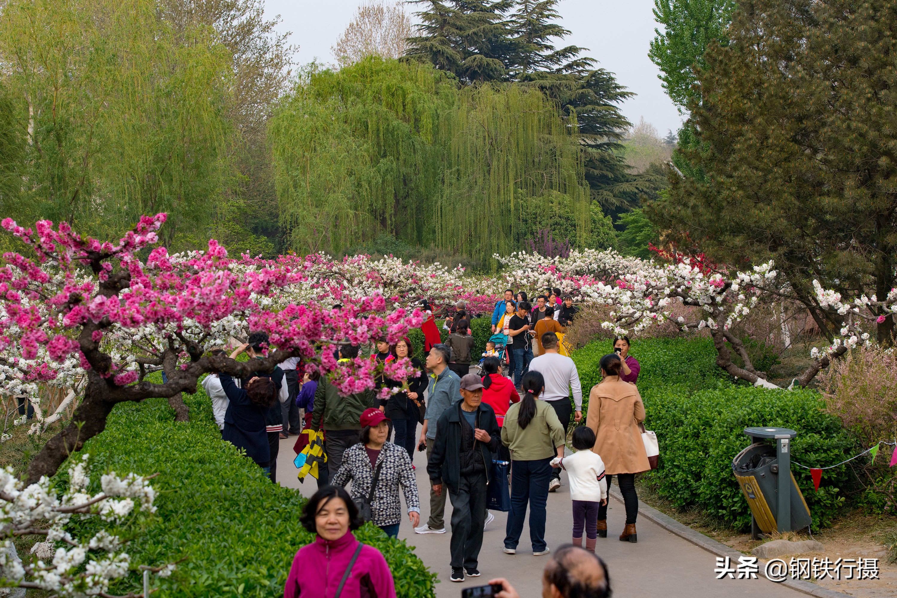 济南近郊游十大免费景点,c位出道的城市游玩