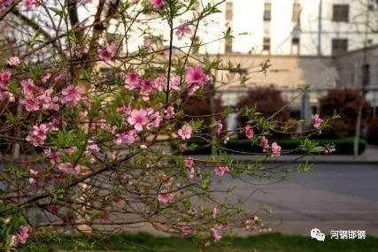 娌抽挗閭挗閾佽矾,娌抽挗閭挗楂樼倝