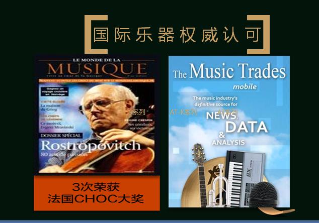 威廉史丹堡钢琴属于什么档次,威廉史丹堡钢琴质量