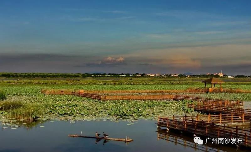 广州吃海鲜最便宜的地方2018年,广州的海鲜哪里又新鲜又便宜