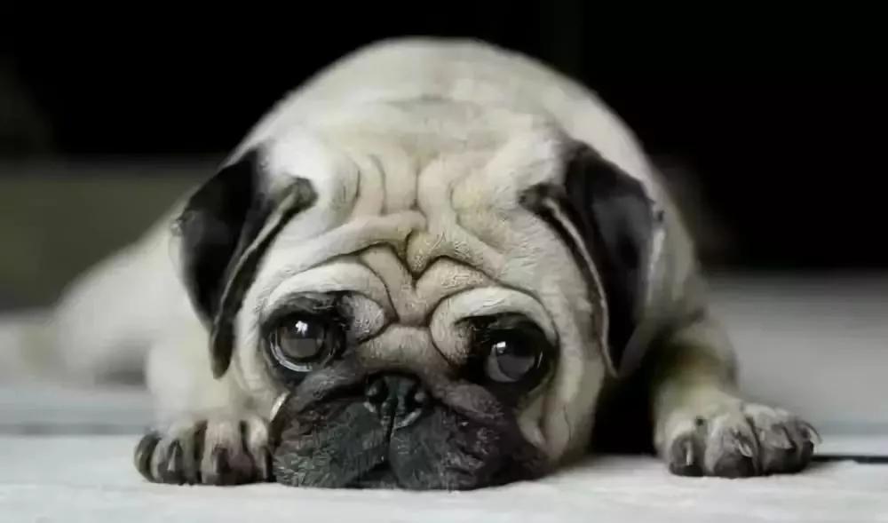 对付脸垮和法令纹，我颇有点研究心得