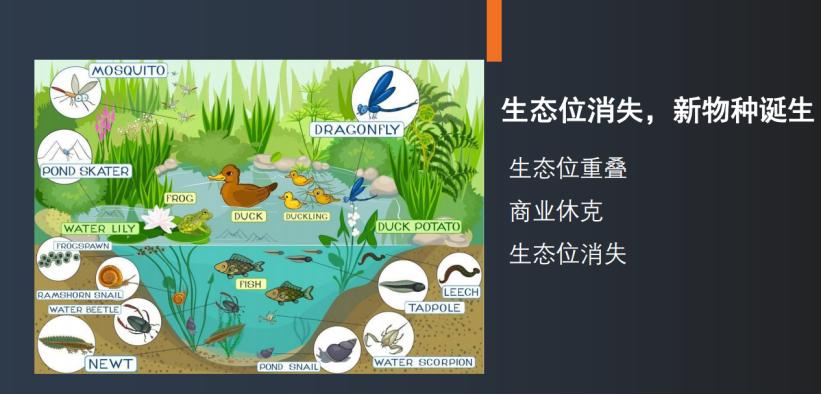 2021年母婴店前景怎样,2023年母婴实体店