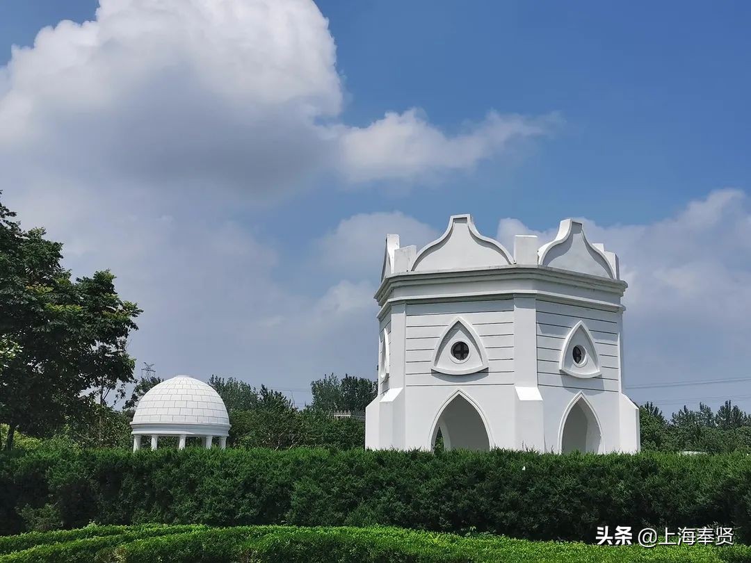 奉贤五一游玩打卡的地方,奉贤休闲度假游玩攻略