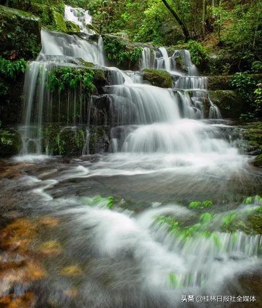 医护人员去桂林旅游,桂林市医护人员免费景区