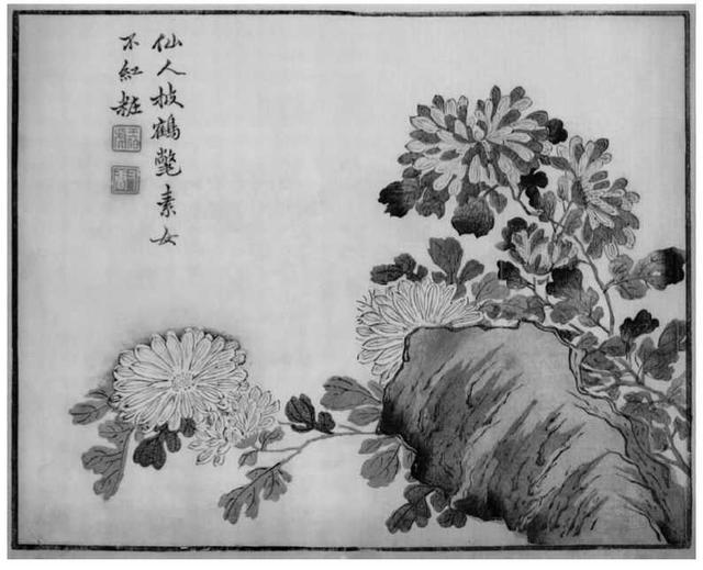 菊花写意画法100幅,简单的写意菊花画法
