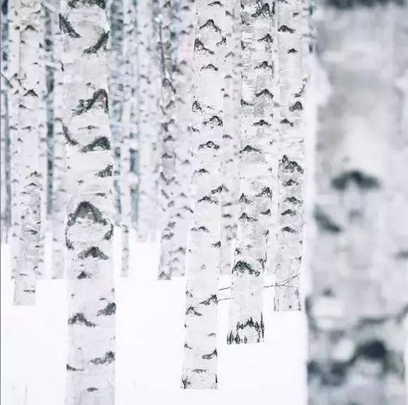 拒绝“快销式”生活，带你逛遍高质量高性价比北欧好物（下）