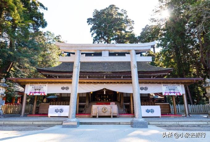 2020东京奥运会在什么地方举行,2021东京奥运会举办城市