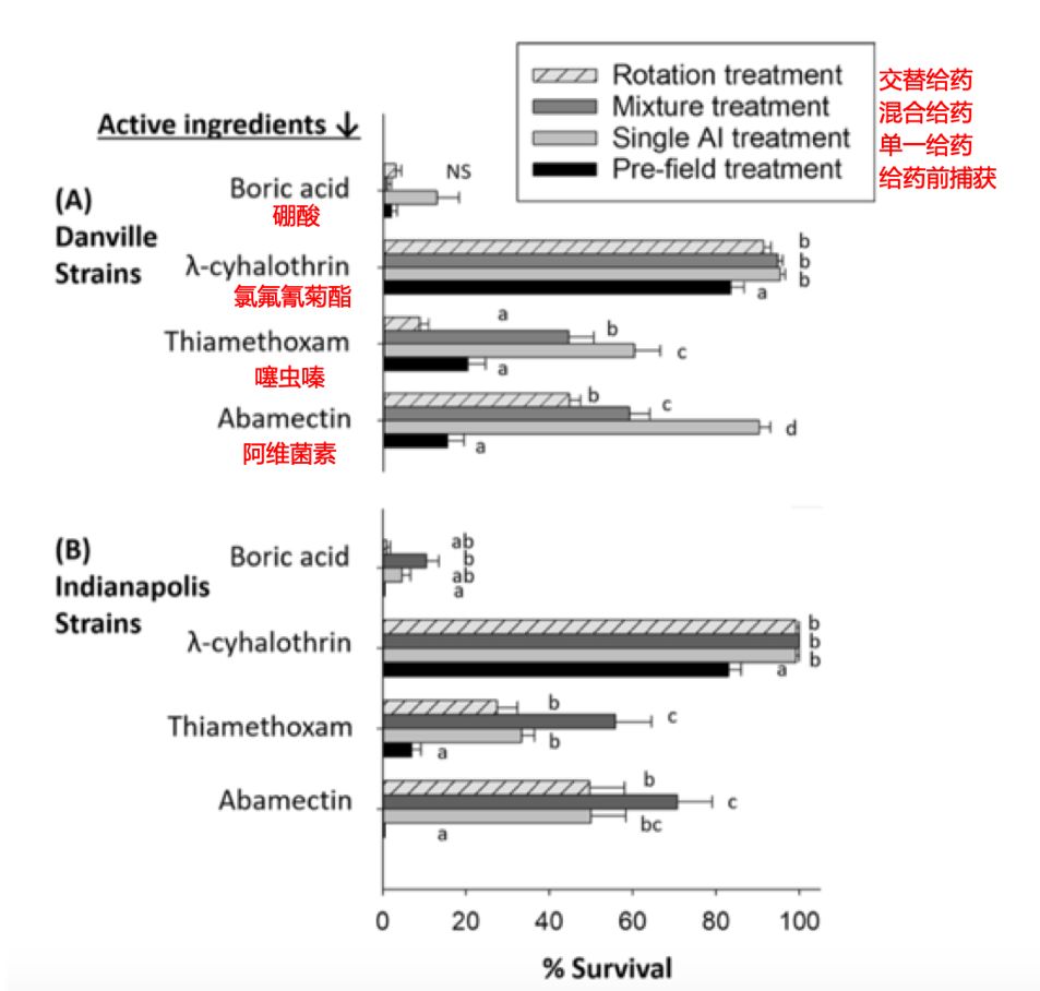 教你一招轻松解决蟑螂,家有蟑螂不要急教你一招