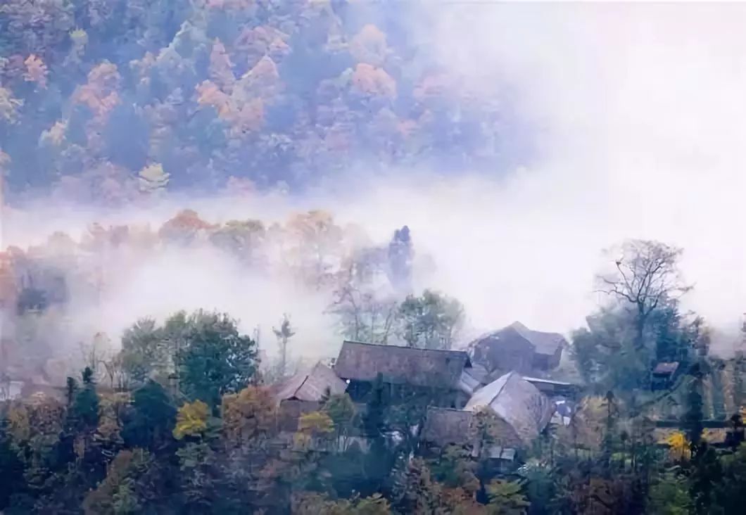 湖北深秋自驾游景点推荐,秋色彩林川西自驾