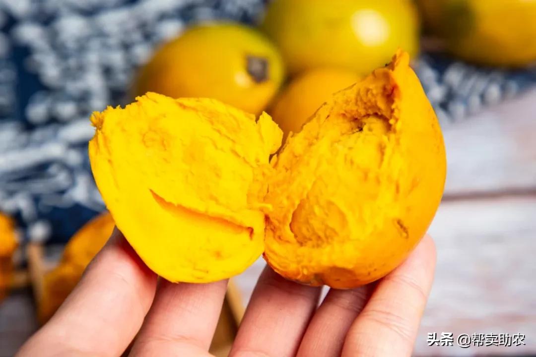 闀垮湪鏍戜笂鐨勭孩钖浮铔嬫灉,闀垮湪鏍戜笂鐨勯浮铔嬫灉