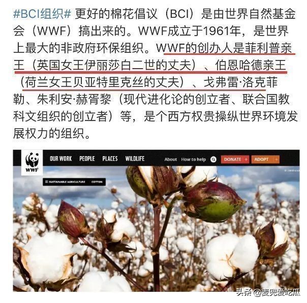 朱一龙品牌大使被曝辱华？曾*制抵**过*疆新**棉，其大粉也拉踩过肖战