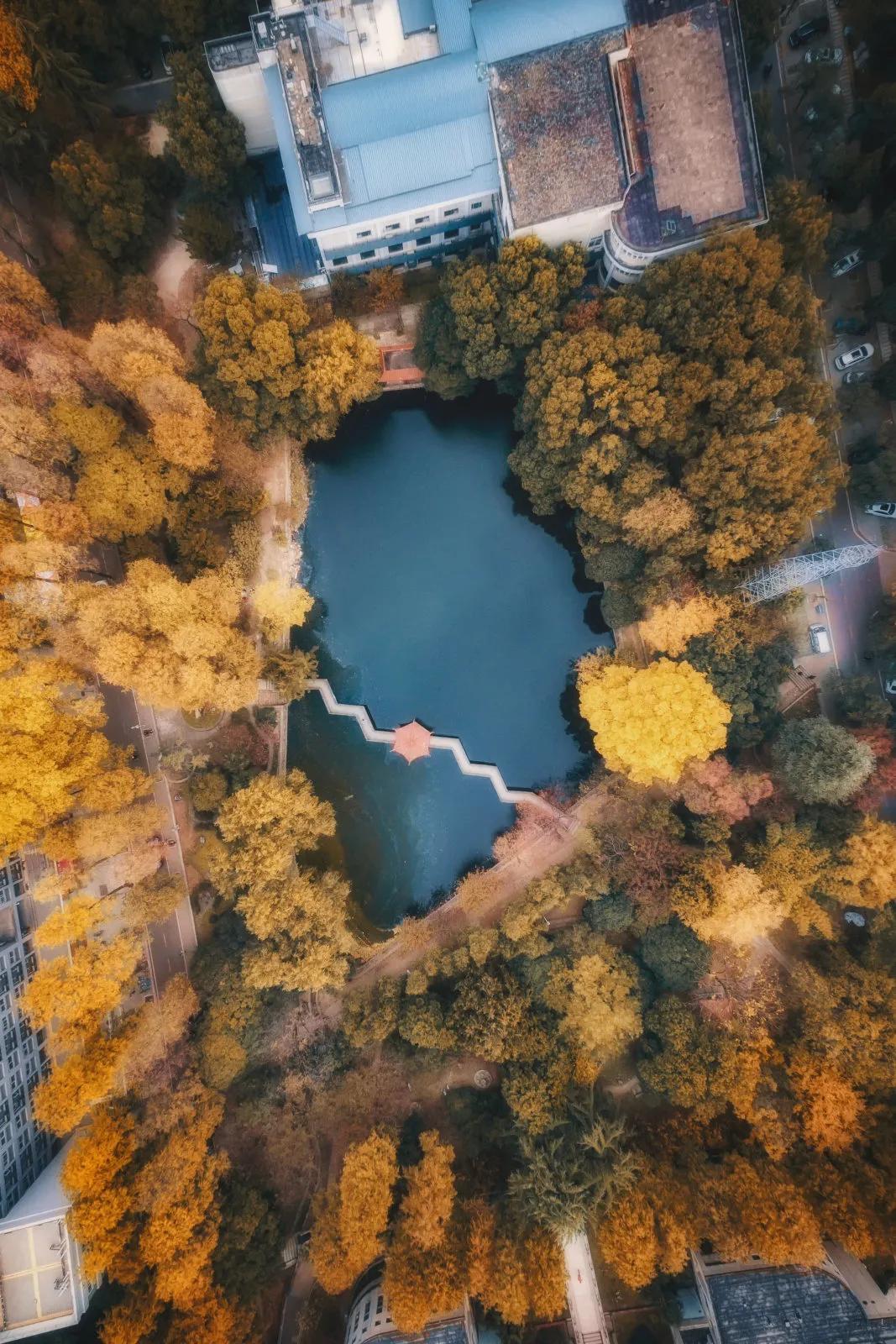 武汉开学震撼画面,夏季的武汉大学风景