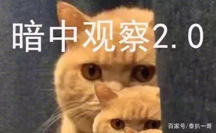 一哥专扒：RAY面膜被一哥扒的，可能连“*裤底**”都不剩！