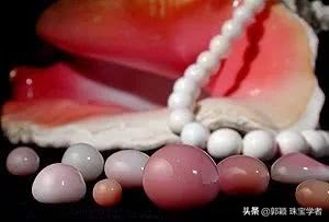 珍珠的贝壳妈妈,珍珠的妈妈叫什么