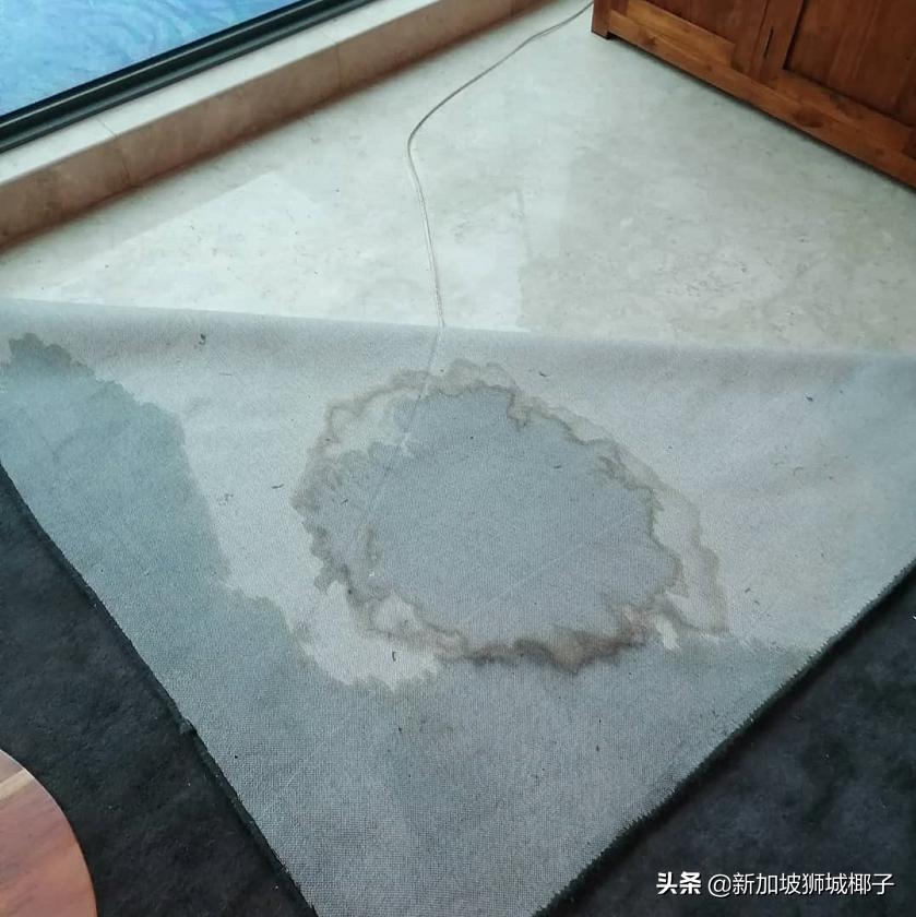 新加坡48小时超强暴雨,新加坡多地遭暴雨侵袭