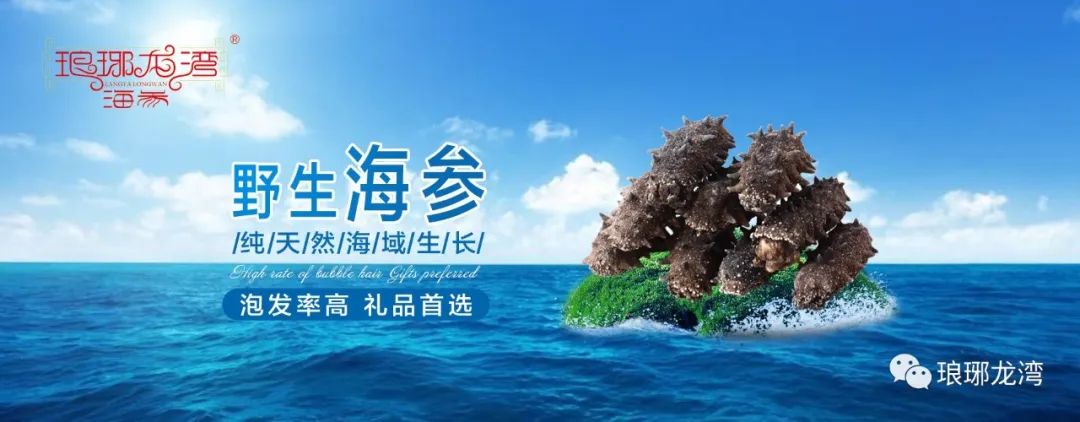 海参怎么吃既简单又有营养,海参老母鸡怎么炖最有营养