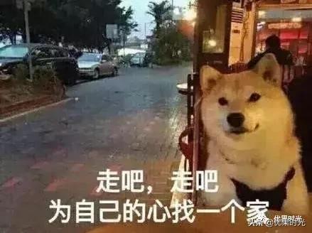 本州6日游,日本7天6晚本州之行