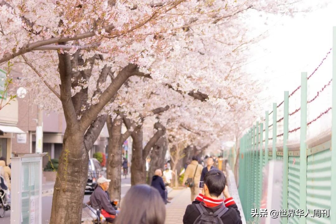 日本人怎么对待中国的留学生,日本对待留学生待遇
