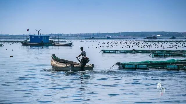 各地人看威海,威海的夏天是什么样的