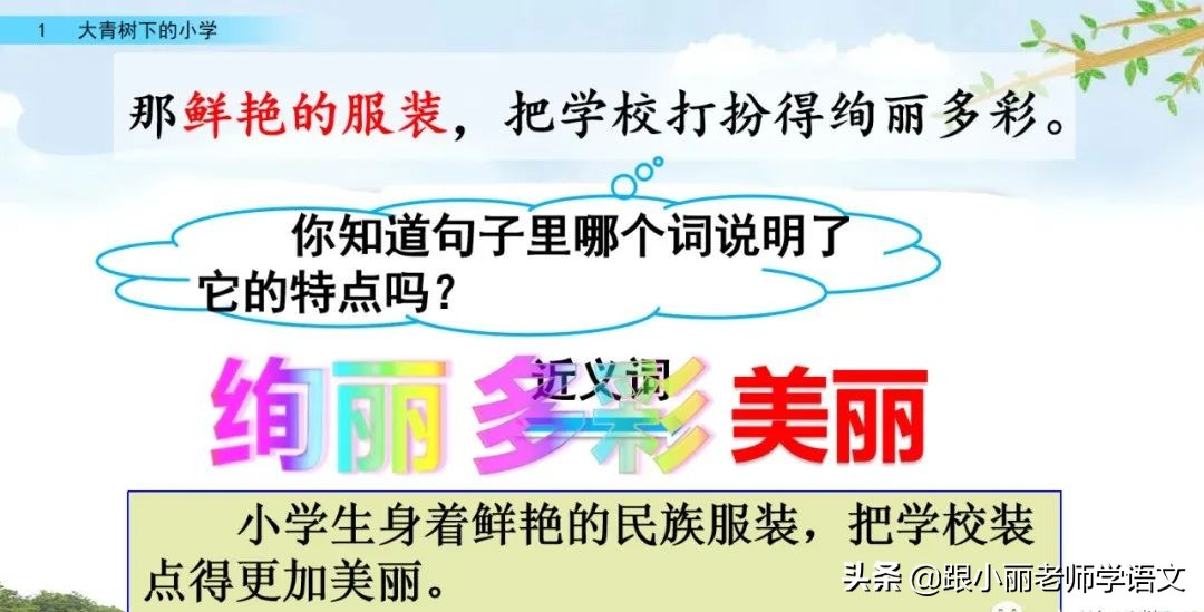 大青树下的小学必会知识点,大青树下的小学必考知识点