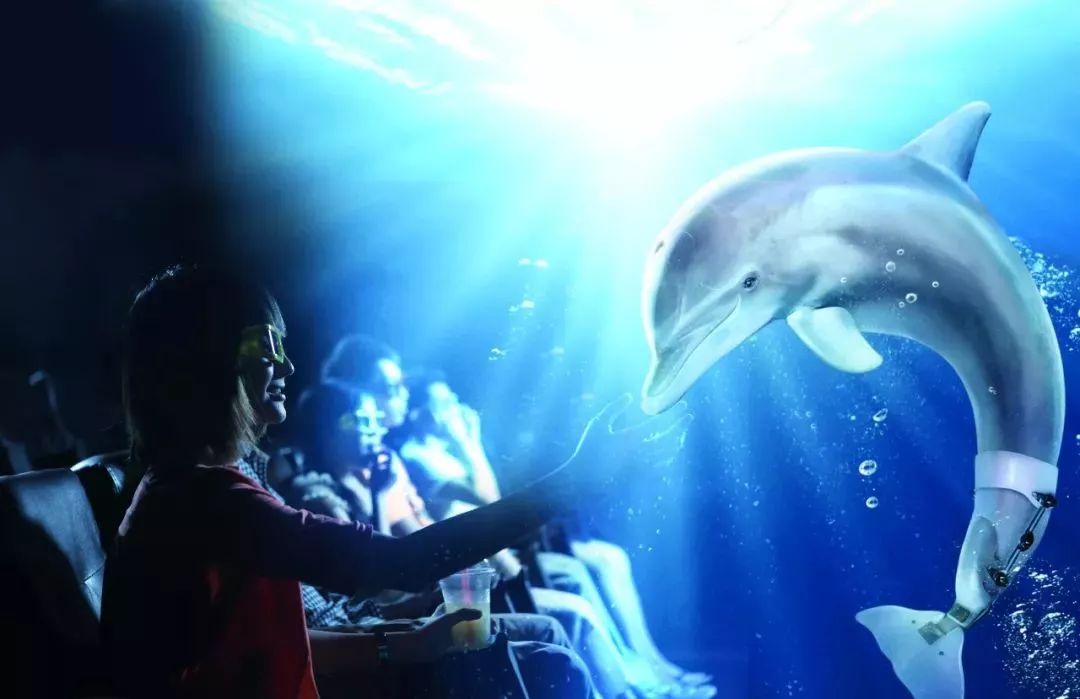 中秋国庆仅138元，两人同行玩转5A长鹿旅游休博园+童话动物王国