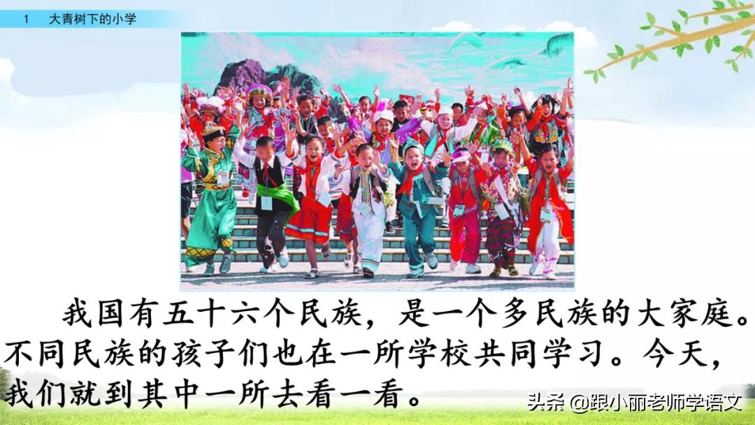 大青树下的小学重要背诵内容,大青树下的小学重点知识点