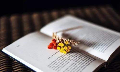 天娇人物第一季,天娇怎么自我介绍