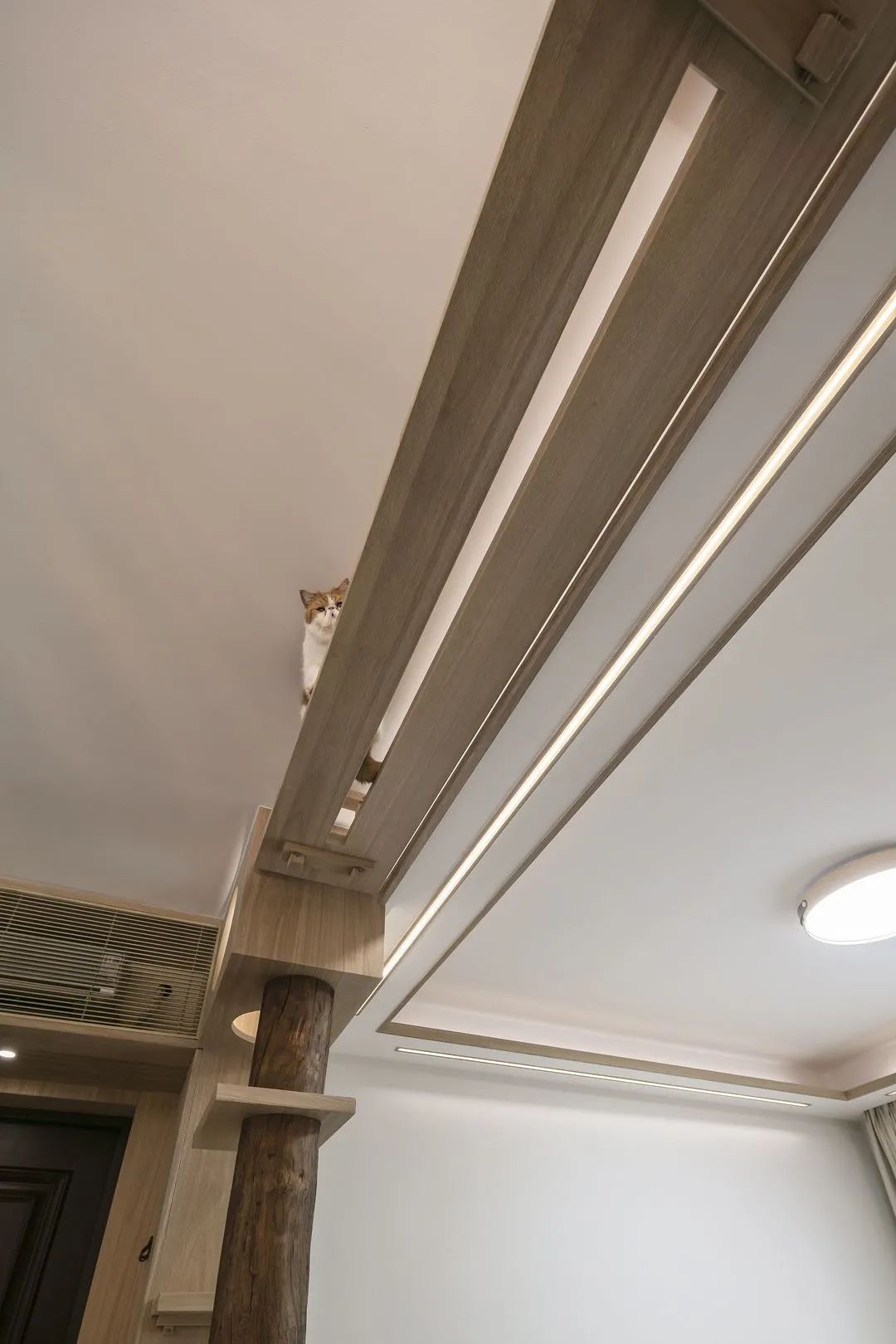 给猫自制的豪华猫屋,给猫咪改造猫屋