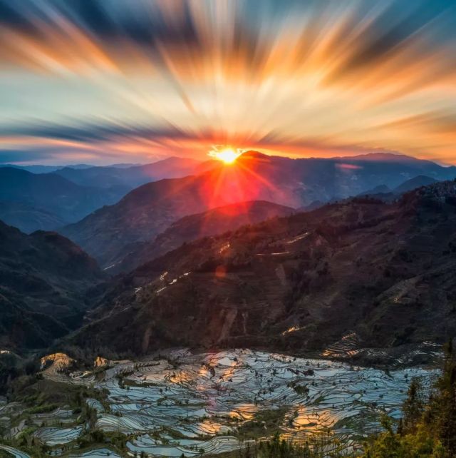 什么是云南品种,什么是云南的特色