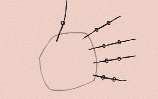 动漫人物手怎么画,画动漫人物手的画法