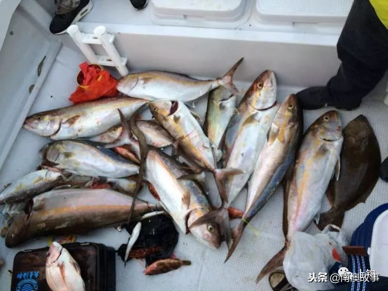 最好的海钓钓位选择,在海钓中如何找到原来的钓点