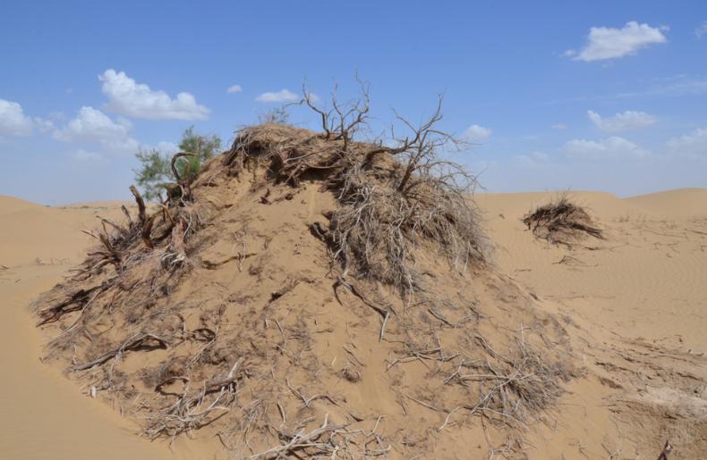 兰州大学入选院士全国排名,兰州大学院士学科
