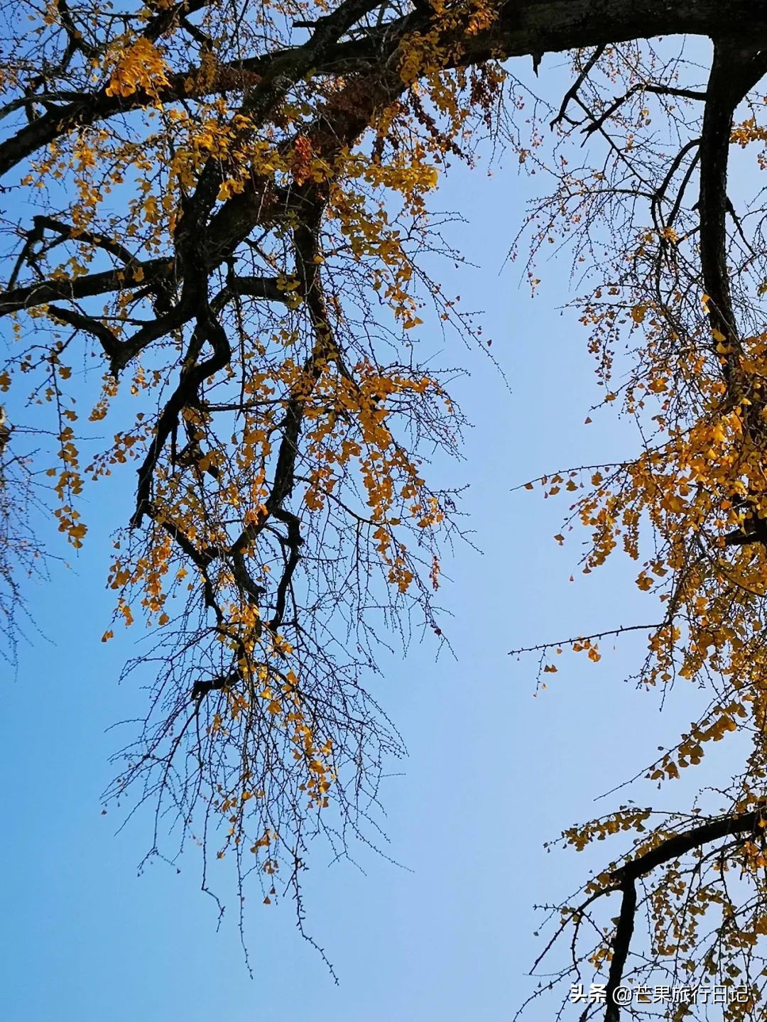 安徽宏村十大特色,安徽黄山宏村印象