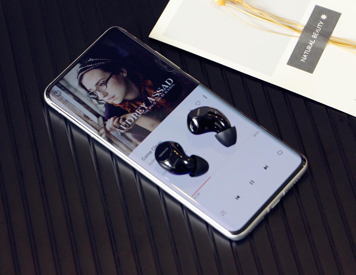 楼氏动铁特点,楼氏动铁和一般动铁的区别