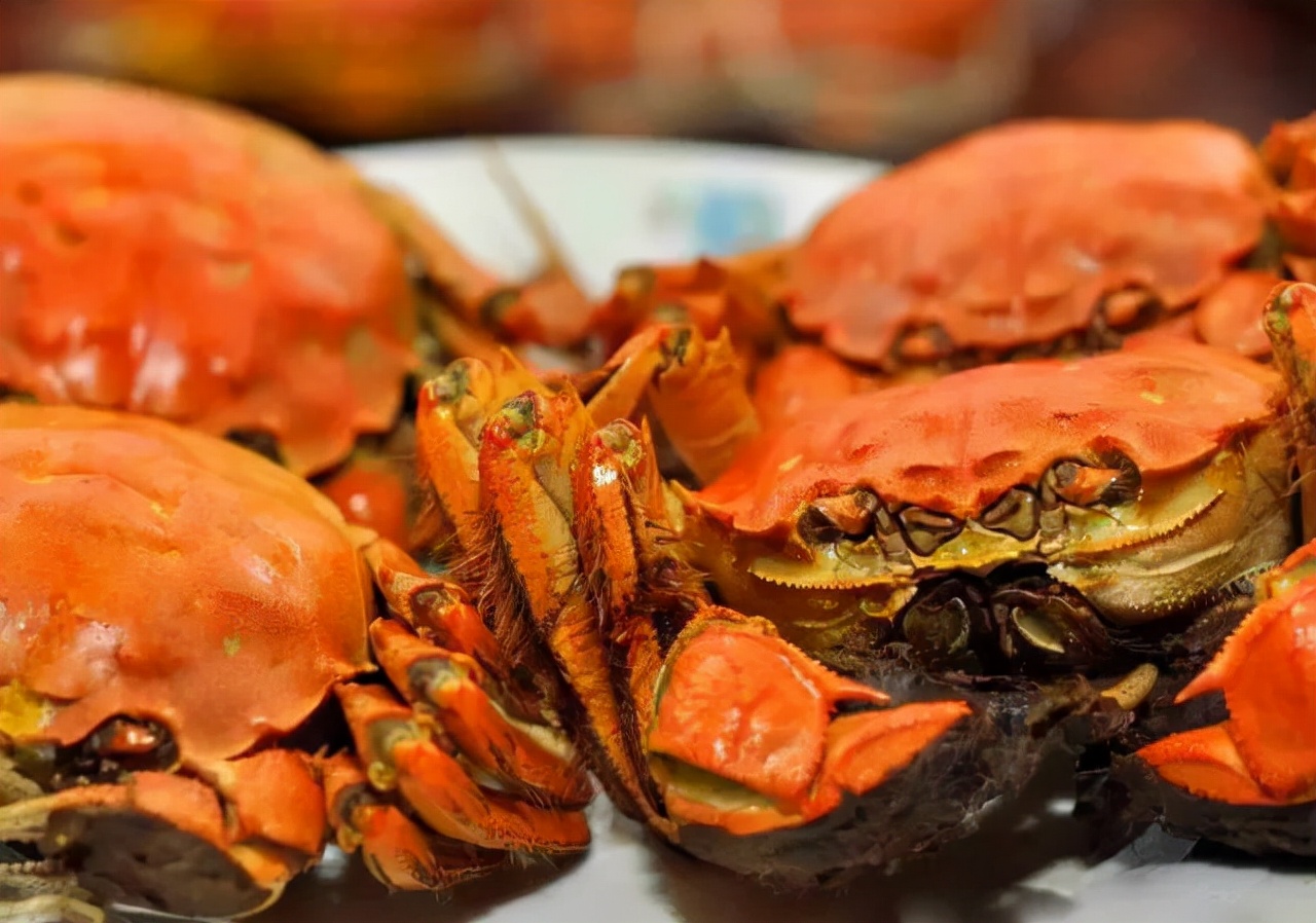 吃蟹注意事项与禁忌,螃蟹虽好但这2种蟹绝不能吃