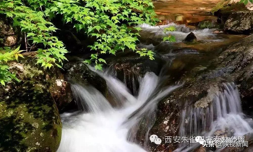 好消息！西安旅游景区向全国医务工作者全年免费开放！包括兵马俑、华清宫、大雁塔、西安城墙等5*级A**景区……