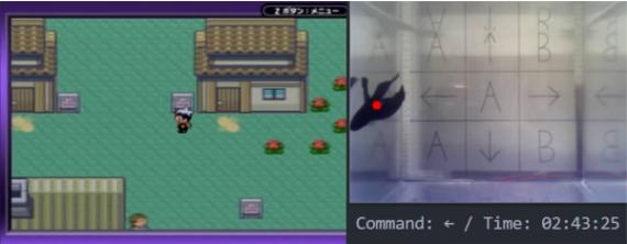 宝可梦探险寻宝如何卡bug,4条鱼通关宝可梦