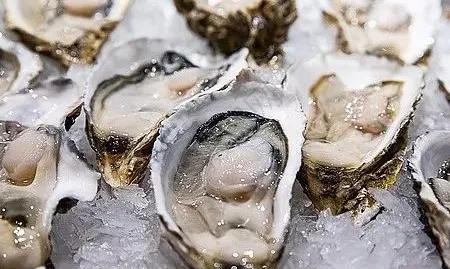 从北纬20°到43°，跟着生蚝走遍祖国海岸线