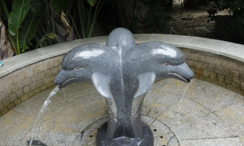 广州自驾去三亚旅游攻略,三亚自驾去新疆旅游攻略