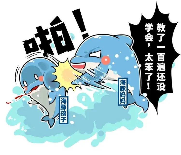 为什么要捕杀鲸鱼?日本人:不是为了吃,这是传统文化